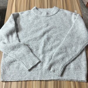 American Eagle Outfitters Light Gray Crew Neck Sweater